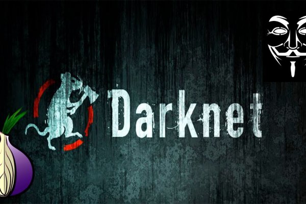 Kraken 19 at